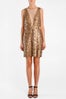 tibi-petalibeadingvneckdress-605