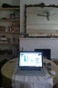 gabriela-alford_boerum-hill-living-room