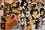 mood-board