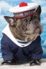 nars-marcel-dog-2
