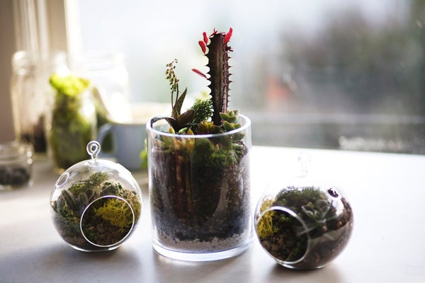 diy gardening project