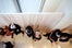 12_ZacPosen_01_Wixon_NinaWestervelt