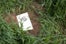 jk-5