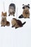 Buri-Woodland-Animal-Ornaments_Christmas-Mouse_8