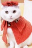 cape-cat