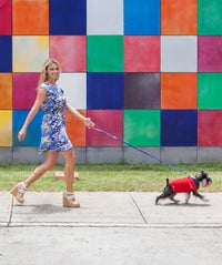 Project Runway To Pet Project: A Model's Style Has Gone To The Dogs opener
