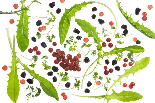 DandelionSmoothies_059_600x400