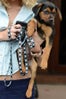 Miley_Cyrus_dog