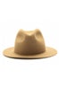 apc_FINAL