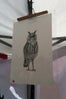 owl 5
