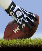 A Super Bowl Primer For The Uninitiated SBOpener
