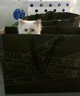 choupettebag_2241426a