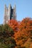 Wellesley-College