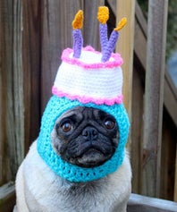 pugopener