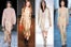 fall color patterns - silk and camel