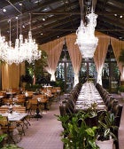 18 Brand-New NYC Restaurants To Start Loving Now opener2