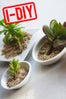 diy gardening project