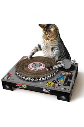 Cat Scratch
