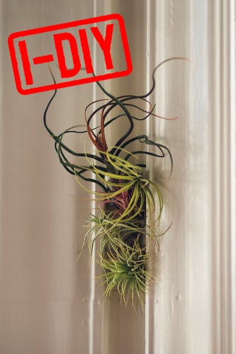 diy gardening project