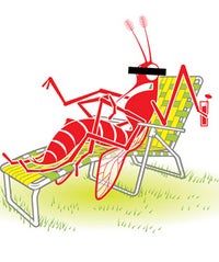 When It Comes To Mosquito Bites, Apparently We're Asking For It mosquito opener