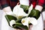 14_WeddingCouples04_185