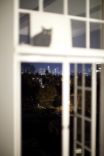 08_IMG_6225