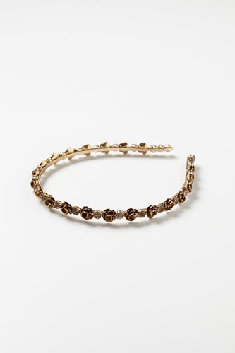 anthropologie_FINAL