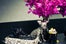 Belle-Sigerson-Morrison-18