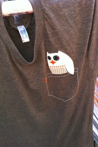 owl 31