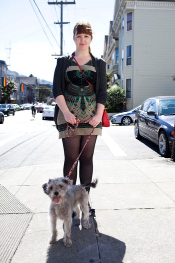 san francisco dogs