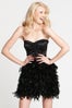 Delias_Feather-Dress_90slide