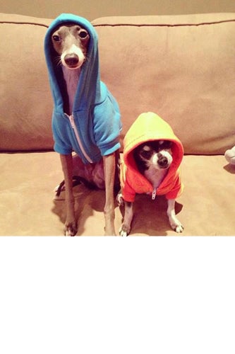 reddit-aww-ugatz
