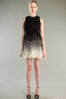 Fabiola-Arias.FW12slide3