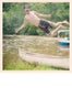 karenblanchard_7