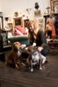 Cutest Shop Dogs In San Francisco BellJar
