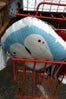 owl 3