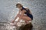rachelcomey_swim_object