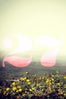 27_Fog