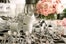 8Stemware