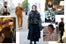 unconventional-style-blog-advanced-style-3