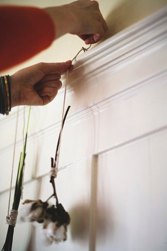 diy gardening project