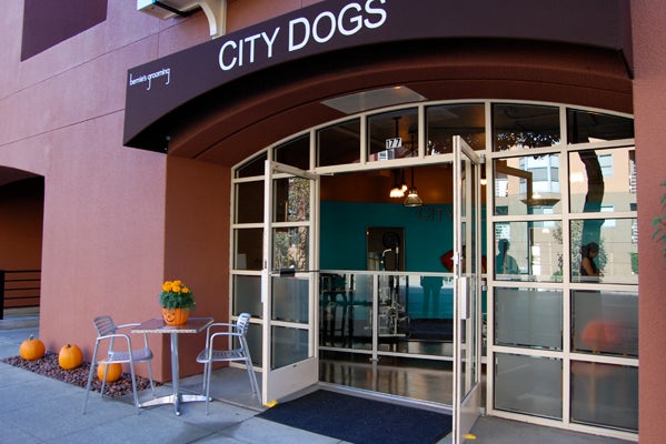 city dogs san francisco