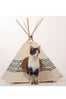CatNip_WrenHalfOut_1024x1024