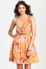 delias-59