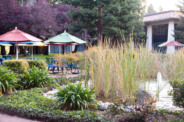 google campus
