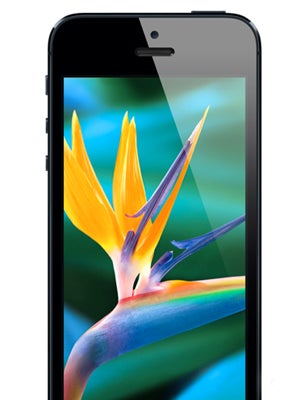 Could It Be? Apple Rumored To Release Three iPhones This Year!