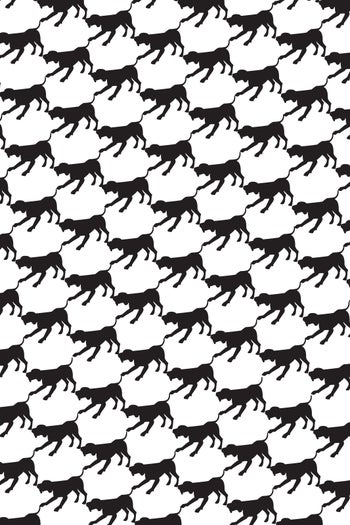 01_HoundsTooth