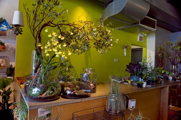 08_Sprout_077