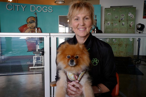 city dogs san francisco