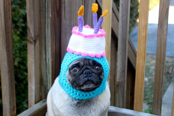 puge_cake